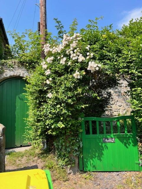 Amelie Cottage Beaumaris Exterior foto